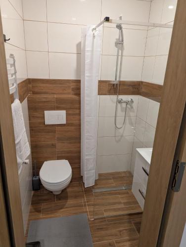 a small bathroom with a toilet and a shower at Noclegi pod gora in Oboźna Droga Masłów
