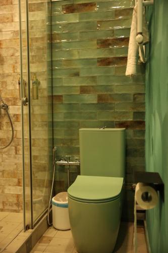 a bathroom with a green toilet and a shower at SaguleResort in Monasteri