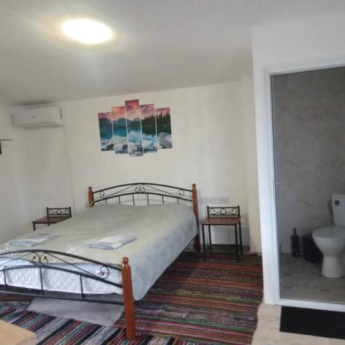 a bedroom with a bed and a bathroom with a toilet at Вила Мони-зона релакс in Brosh