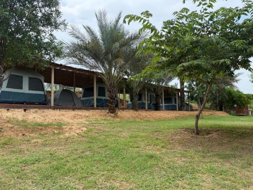 a house with a tent and two palm trees at White sand cafe hampi in Hampi