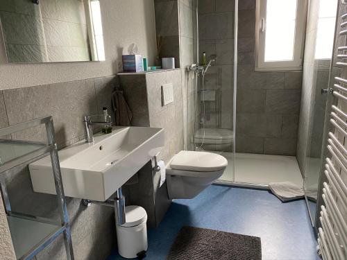 Koupelna v ubytování Apartment Hopfengrün Langenthal