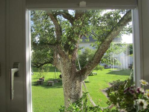 Un jardín fuera de Apartment Am Apfelbaum