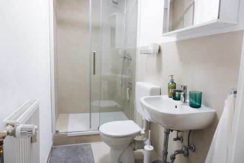 a bathroom with a shower and a toilet and a sink at Ferienwohnung Zur Wieskapelle W3 - ideal für Monteure in Straubing