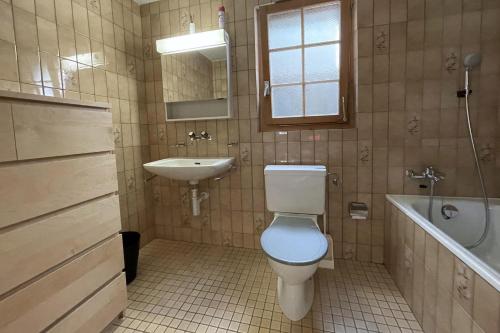 a bathroom with a toilet and a sink at Chalet Woodland - Ferienwohnung mit Terrasse in Ritzingen