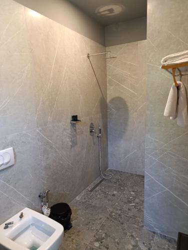 a bathroom with a shower and a sink at Toka Hotel Restaurant in Pogradec
