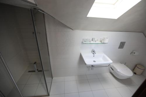 a bathroom with a shower and a toilet and a sink at Villa Bijoux in Ploieşti