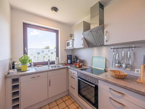 Кухня или мини-кухня в La Casa Ferienwohnung Uferschwalbe
