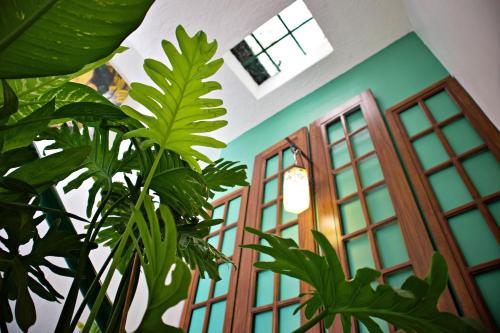 a room with a bunch of windows and plants at Stylish Art Déco Mexican House with rooftop in Guadalajara