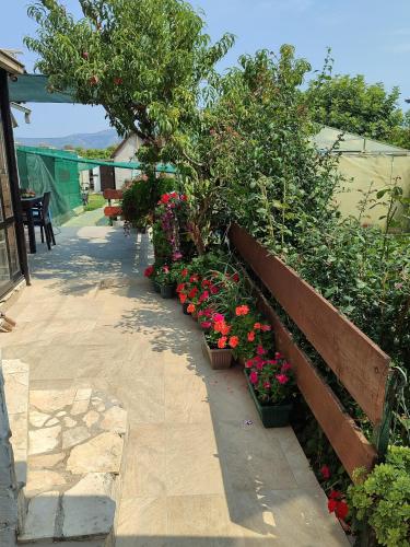 a garden with flowers and plants on a sidewalk at Apartman "SaraP" Metković in Metković