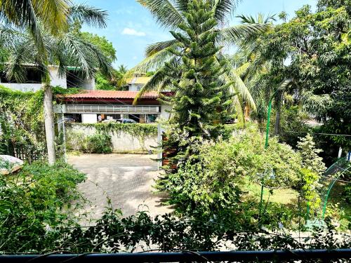 Κήπος έξω από το L S Lanka Boutique Hotel