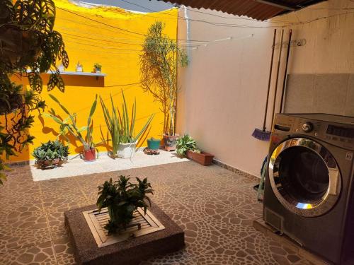a washing machine in a room with potted plants at Bona Vida Casa in Ríohacha