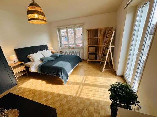une chambre avec un lit et une plante en pot dans l'établissement Cozy room in Basel, à Bâle