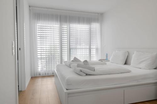 Superior Cityline Suite
