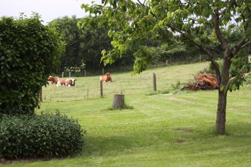 a group of cows grazing in a field with a tree at Hotel Panorama in Wees