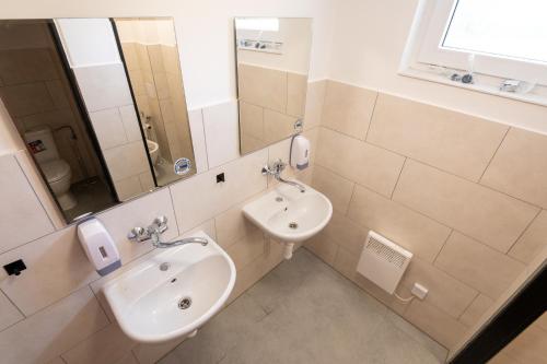 a bathroom with a sink and a mirror at Aberto Jizerky in Albrechtice v Jizerských horách