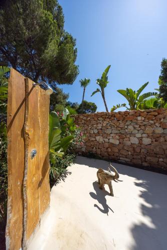 a cat sitting on the ground next to a stone wall at Villa Clara Ibiza in Santa Eularia des Riu