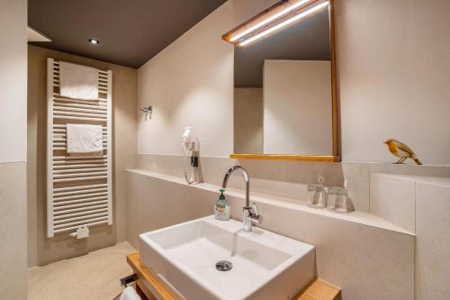 a bathroom with a sink and a mirror at Wein- und Klimahotel Bergfriedel in Bühlertal