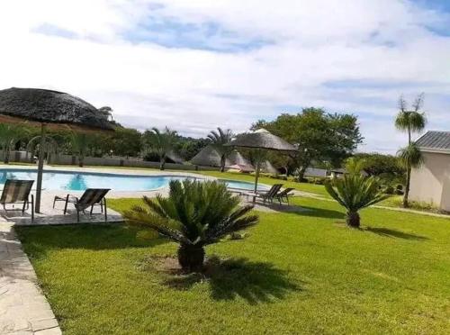 a swimming pool with palm trees in a yard at Noma-Nini Lodge in White River