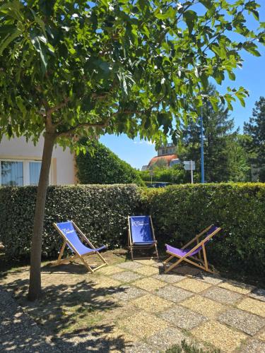 two lawn chairs sitting next to a tree at Best Western Hôtel Le Sud in Manosque