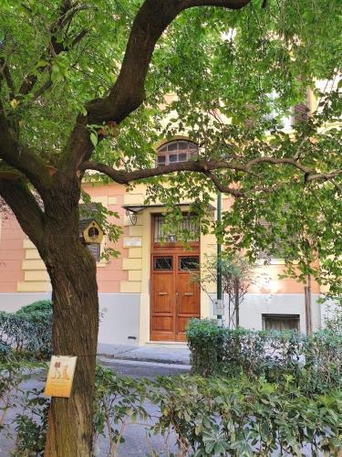 Suite Tevere star