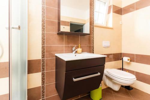 a bathroom with a sink and a toilet at Villa Sky with pool in Vrh