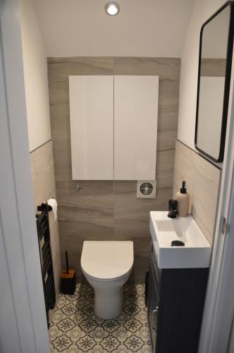 a small bathroom with a toilet and a sink at Hot Tub Oasis by the Sea & Woods in Swansea