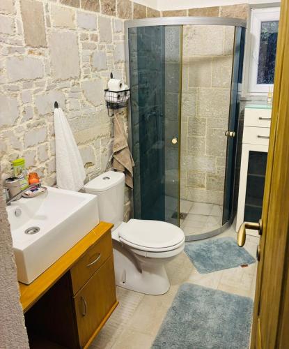 a bathroom with a toilet and a sink and a shower at Sun Place Bigova in Bigova