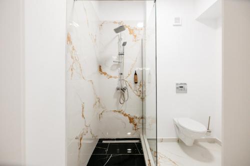 a bathroom with a shower and a toilet at Premium Tulip Aparthotel close to Airport & Therme in Tunari