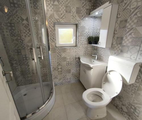 a bathroom with a toilet and a shower and a sink at Apartmani Etno Selo Americ 