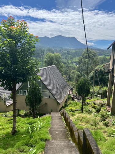 Un paisaje natural cerca de la casa de huéspedes