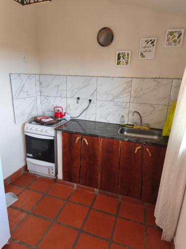 a kitchen with a stove and a sink at Cabañas Akumali in Nono