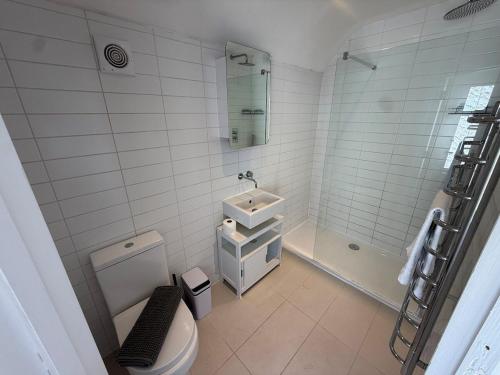 a bathroom with a toilet and a sink and a shower at Suite 5 Green Park in Bournemouth