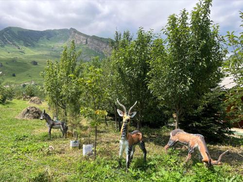 a group of animals standing in a field at Shahdag Boutique Hotel in Laza