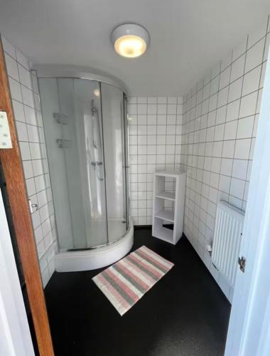 a bathroom with a walk in shower and a sink at 34 - Room 3 - Uplands in Swansea
