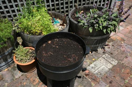 a group of pots filled with plants on a patio at The Great Ponsonby Arthotel in Auckland