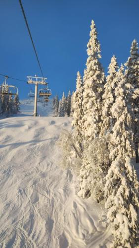 a snow covered trees on a ski slope with a ski lift at Kåvan Townhouse Funäsdalen in Funäsdalen