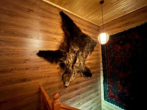 a dead animal hanging from the wall of a room at Shahdag Boutique Hotel in Laza