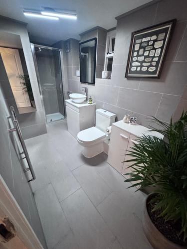 a bathroom with a toilet and a shower and a sink at Regency Haven in London