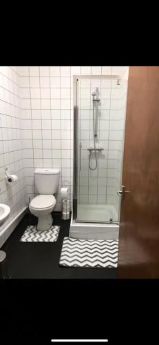 a bathroom with a shower and a toilet and a sink at 34 - Room 5 - Uplands in Swansea