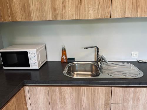 Kuchyň nebo kuchyňský kout v ubytování Vitan Apartment