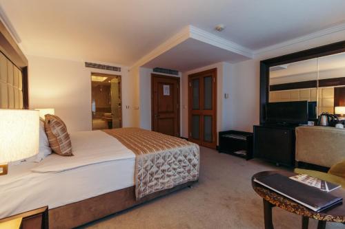 a hotel room with a bed and a television at CK Farabi Hotel in Ankara