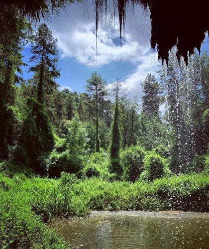 a view of a forest with a river and trees at La Garriga de Castelladral in Castelladral
