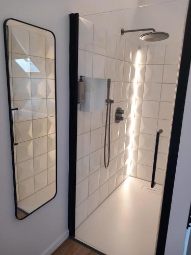 a shower with a mirror in a bathroom at De Bonderbei in Wellen