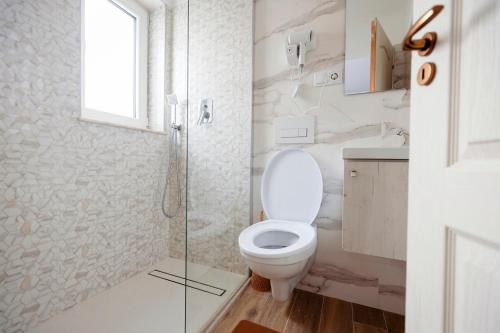 a bathroom with a toilet and a glass shower at Acasa La Lumei in Sighetu Marmaţiei