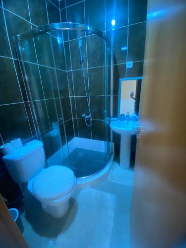 a bathroom with a toilet and a shower and a sink at Apartamento T2 em Palmarejo in Prainha