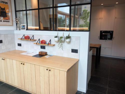a kitchen with a counter with plants on the wall at De Bonderbei in Wellen