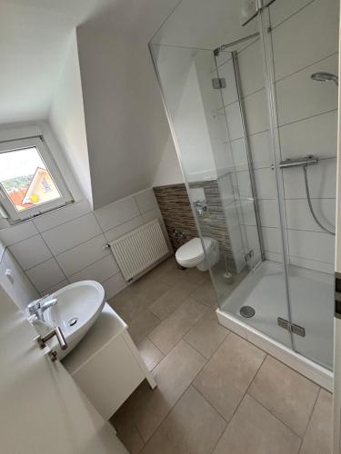 a bathroom with a shower and a toilet and a sink at FeWo Büdingen - Atelier in Büdingen