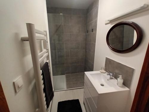 a bathroom with a sink and a shower with a mirror at Gite medieval St Jacques in Parthenay