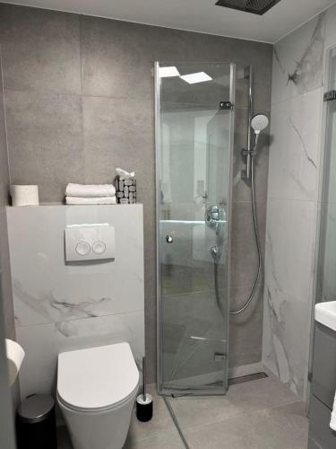 ein Badezimmer mit Dusche und weißer Toilette in der Unterkunft Oberbaar 7 in Baar