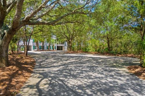 a tree lined road with a house in the background at Kitchens Creek home by Peace Vacations in Georgetown
